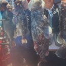 킹콩낚시 이미지