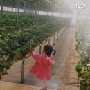 삼오농장 이미지