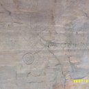 고래정원 이미지