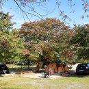 설악동자동차야영장 이미지