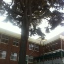 이리여자고등학교 이미지