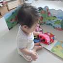 [육아일기.1] 8개월 아람북스 베이비올아기 내돈내산 후기