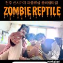 오렌지렙타일 | [공지] <좀비렙타일>전주 신시가지_ 도마뱀을 키우기로 했다!!!! (릴리화이트 크리 도마뱀 입문...