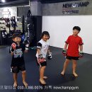 뉴챔프복싱 이미지