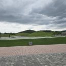 (주)호길 | 순천만국가정원 6월 마지막주 가본 후기. 장미는 거의다 끝났지만 장미정원엔 장미가 남았있네요...