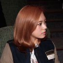 사만사타바사기흥 이미지