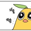 황제짬뽕 이미지