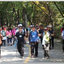 서울마포초등학교 이미지