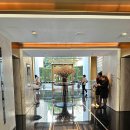호텔 더엠(Hotel the M) | 홍콩 | 더 머레이 홍콩 호텔조식 꼭 먹어봐야 할 이유 The Murray Hongkong A Niccolo Hotel