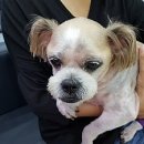 두리종합동물병원 이미지