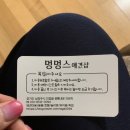 광릉내 애견 이미지