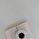 유원토이 | 2026년 상반기 독서 정산 ! 📚 (꺼드럭치곤 59권뿐,,)