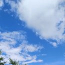 백번가 코다리 이미지