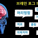 브레인짐