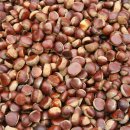 도토리농장 이미지