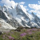 샹그릴라 이미지