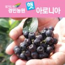 다드림푸드 이미지