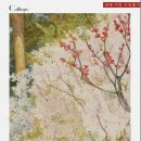 [도서 리뷰] 앵화연담 - 어도담 작가