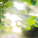 나를 위한 하루 이미지