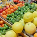 하와이장 이미지