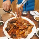 금빛코다리 네이버블로그
