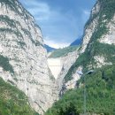 바이온트 이미지