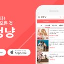 멍냥스토어
