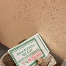 인기척 게스트하우스 이미지