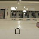 마이독그루밍 이미지