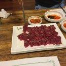 마시조와 이미지