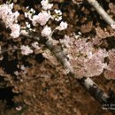 충훈2교 옆 이미지