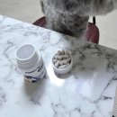 더케어벳 | 강아지눈영양제 페노비스 벳 루테인 눈물자국 관리 후기