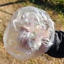 반월공원 화장실 | [군포,안산] 반월호수공원 둘레길 데이트 후기(산책 주차 정보 어울림축제)