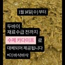원업 | 광주 상무지구 카페 두바이 쫀득 쿠키 두쫀쿠 원업커피 솔직후기