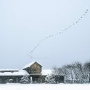 매일농원 이미지