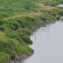 신평동1007 이미지