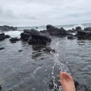 자유로운 사색가 | 서귀포 게스트하우스 파티 자유로운사색가 친절 청결 끝판왕