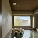 스테이 시래 이미지