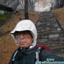 이불나라. 길목 이미지