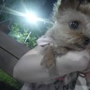 지에스25 인천용마루점 이미지