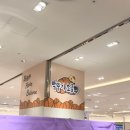 닿음컴퍼니 | 롯데백화점 부산본점 팝업 서면팝업구경