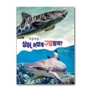 댕글댕글 쇼핑하우