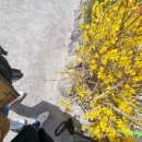 미화반점 이미지