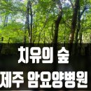 열린요양병원 | 제주 암요양병원 추천｜자연치유 가능한 드림힐의 특별함