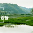 정양레포츠공원 오토캠핑장 이미지