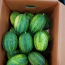 파파야1 이미지