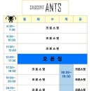 크로스핏 앤츠 이미지