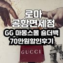 프라이드여행사주 | 로마피우미치노레오나르도다빈치 공항면세점 여행 더몰보다 저렴 구찌가방GG 마몽스몰숄더백 후기