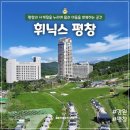 휘닉스평창 사우나 이미지