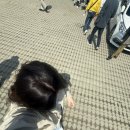 쭈쭈여행사 네이버블로그